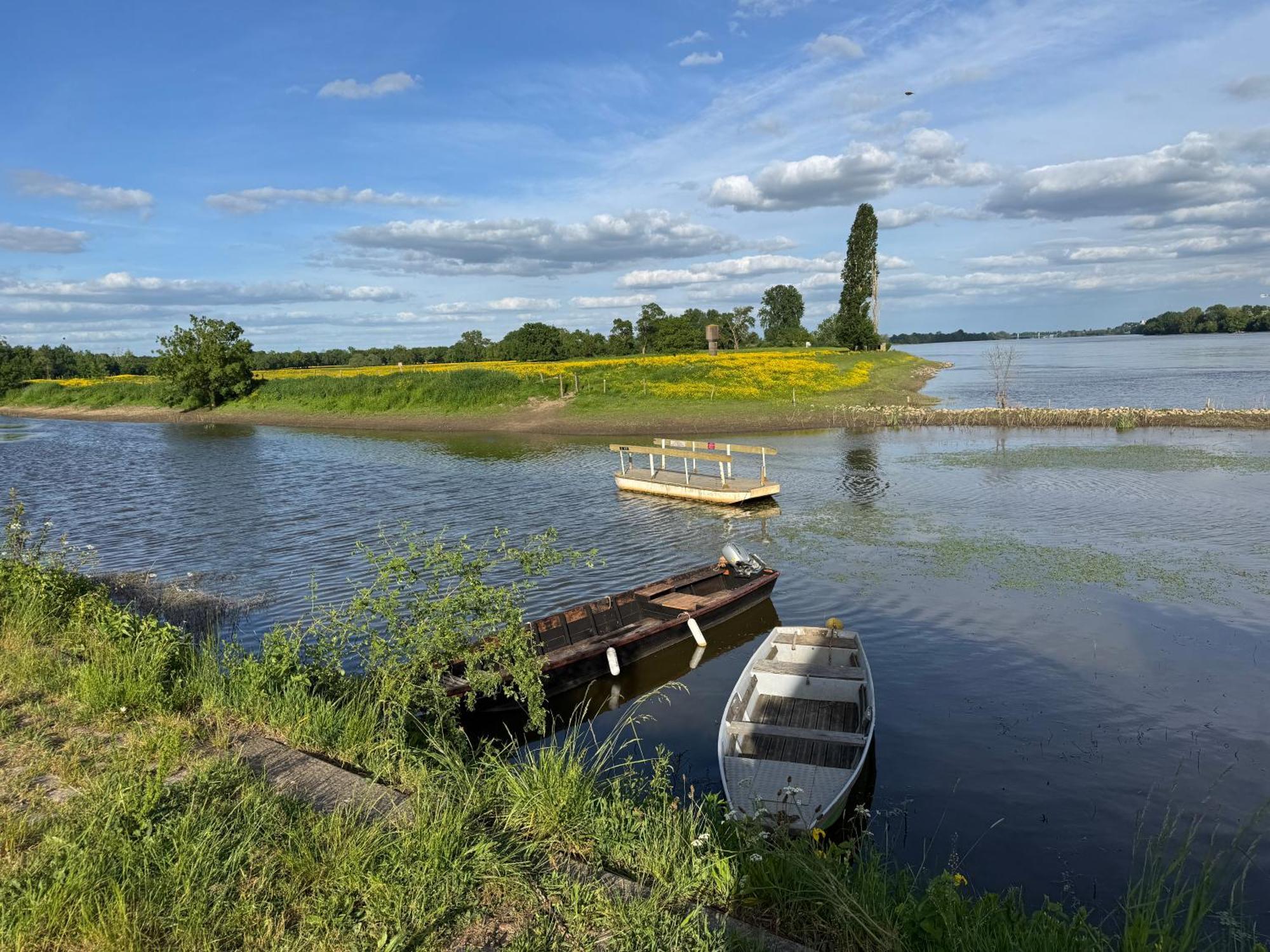 Gite Loirizon Vue Loire 4 Personnes Ingrandes  Exterior photo
